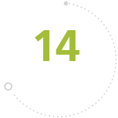 13
