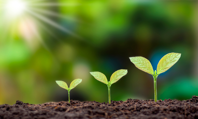 Environmental Topics