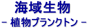 C搶@AvNg