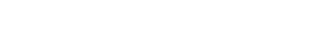 業務内容 BUSINESS DESCRIPTION