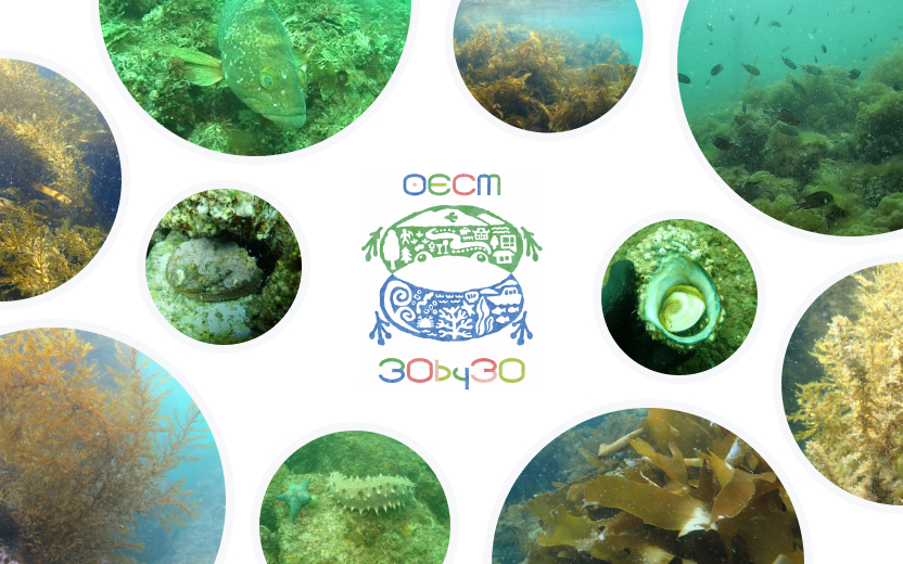 Collage image of the Nature Symbiosis Site certification logo and diverse marine life.