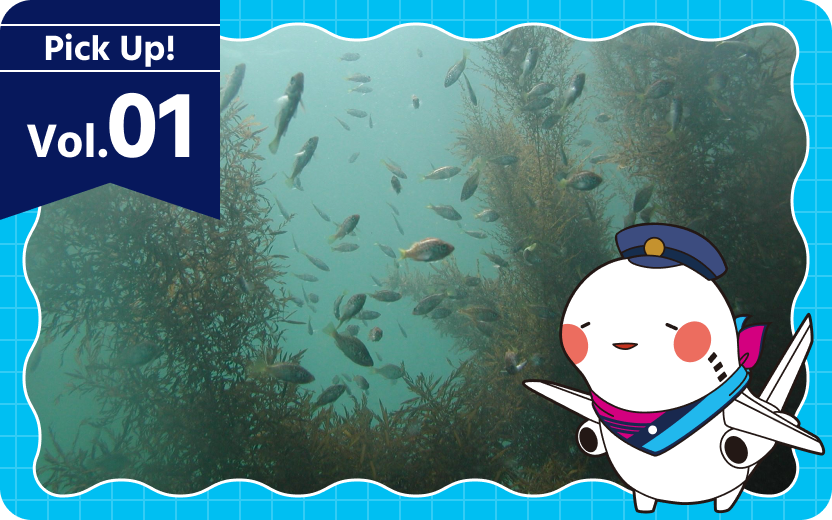 Collage image of Sorayan and underwater seaweed beds near the airport  with text that reads “Pick Up! Vol. 01.”