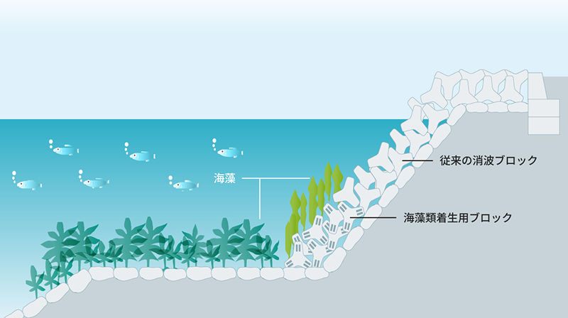 緩傾斜石積護岸の断面図