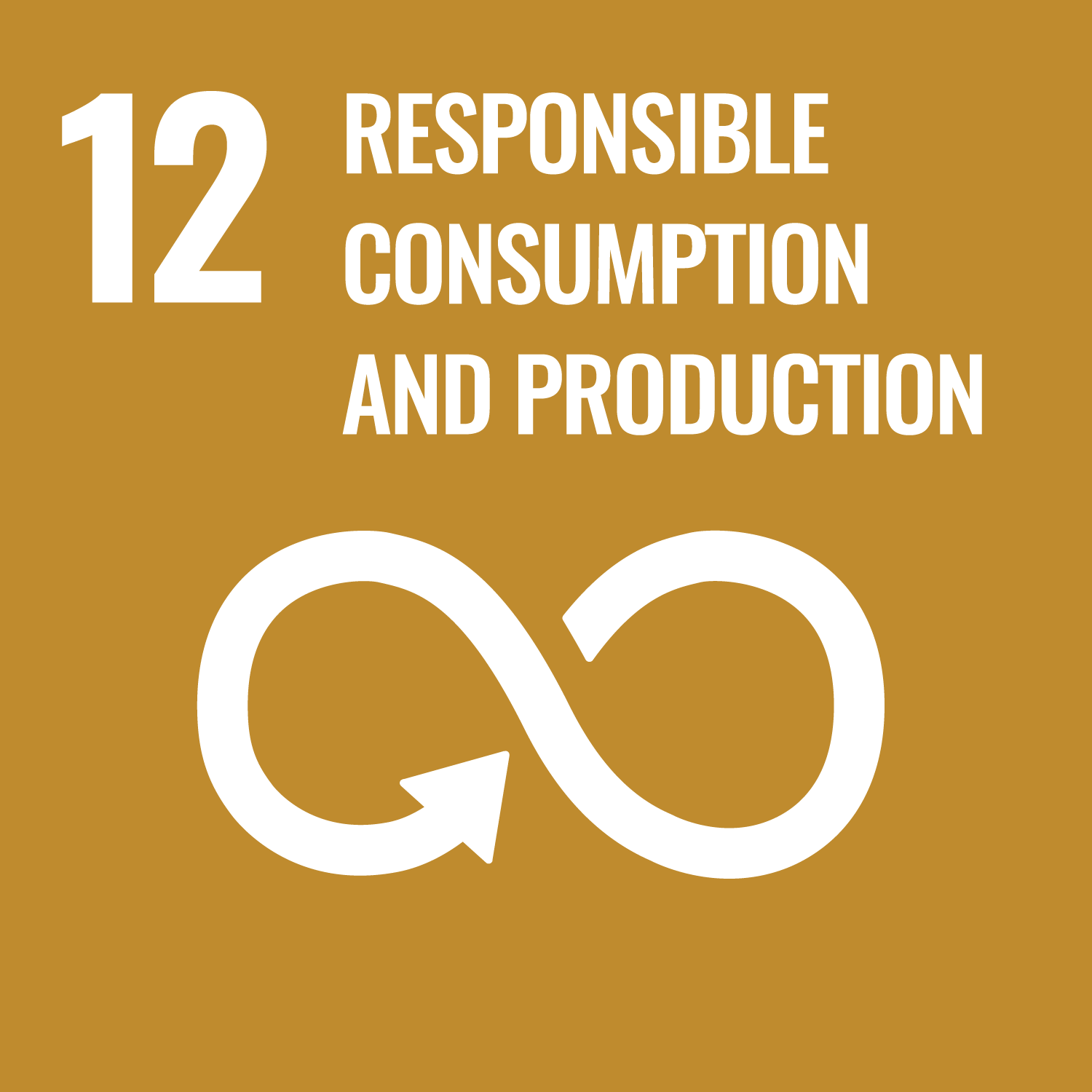 SUSTAINABLE DEVELOPMENT GOALS 12 RESPONSIBLE CONSUMPTION AND PRODUCTION