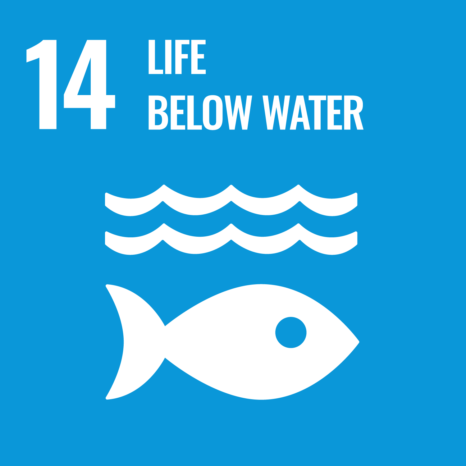 SUSTAINABLE DEVELOPMENT GOALS 14 LIFE BELOW WATER