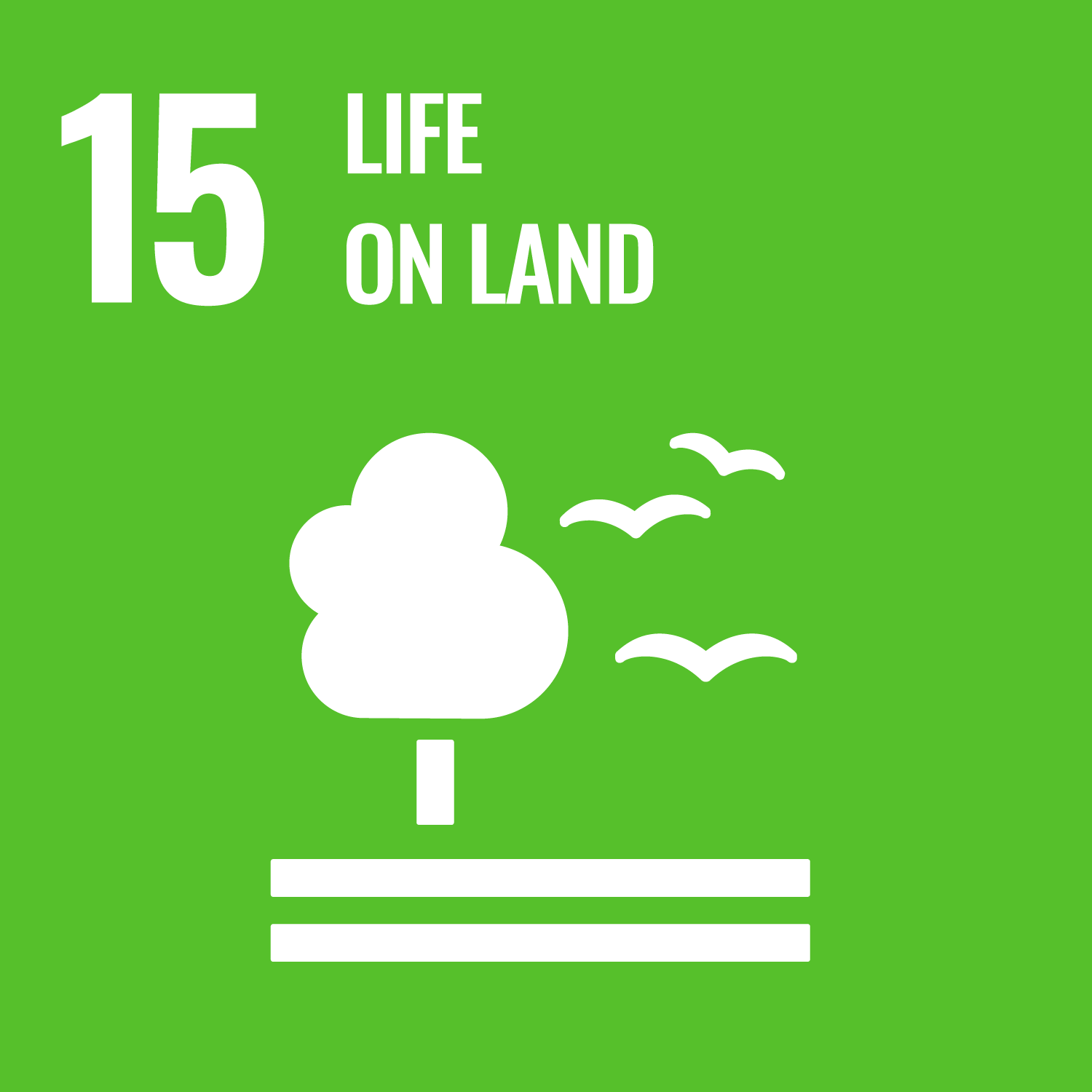 SUSTAINABLE DEVELOPMENT GOALS 15 LIFE ON LAND