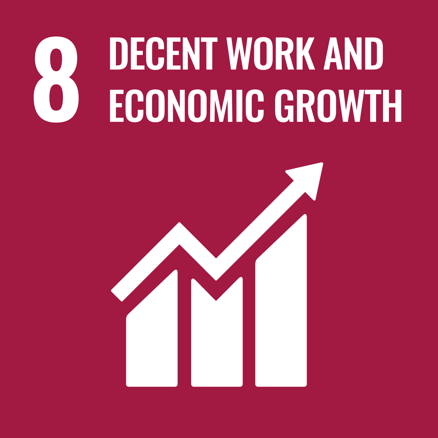 SUSTAINABLE DEVELOPMENT GOALS 8 DECENT WORK AND ECONOMIC GROWTH